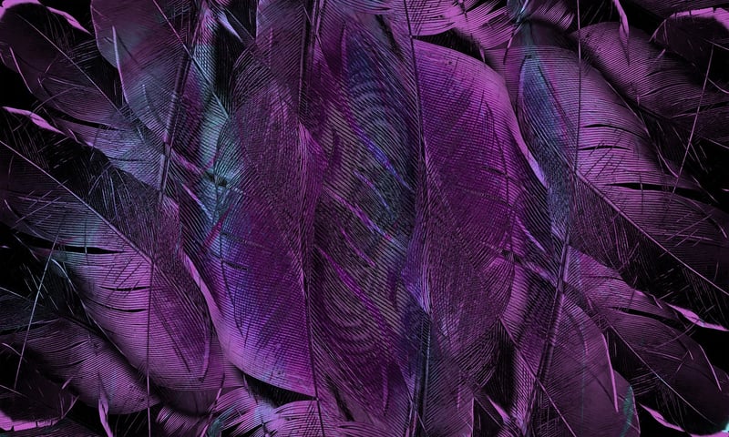 Slow Flow Forms